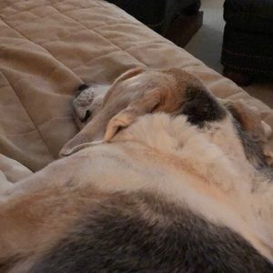 Meet your Posher, Mary